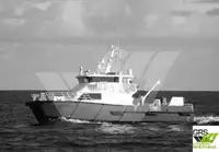 Catamaran Te koop