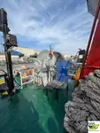 Sleperschip te koop