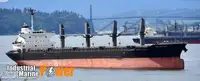 Bulkcarrier te koop
