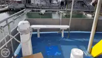 Catamaran te koop