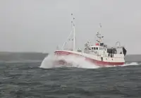 Trawler Te koop