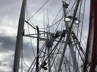 Trawler te koop
