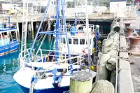 LNG-schip te koop