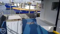 Catamaran te koop