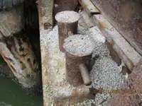 Barge te koop
