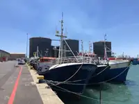 Longliner Te koop