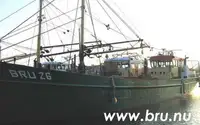 Trawler te koop