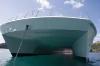 Catamaran te koop