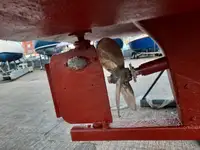 Kutter te koop