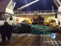 Trawler te koop