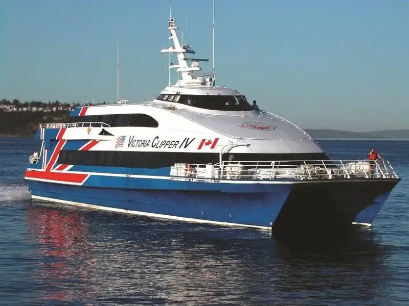 Catamaran te koop