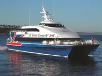Catamaran te koop