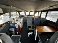 Catamaran te koop