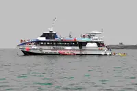 Catamaran te koop
