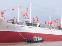 Koelschip te koop