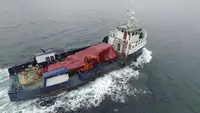 Werkboten te koop