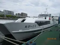 Passagiersschip te koop