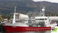 Trawler te koop