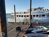 Veerboot te koop