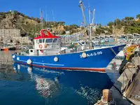 Trawler te koop