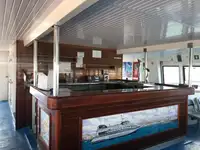 Catamaran te koop