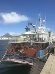 Koelschip Te koop
