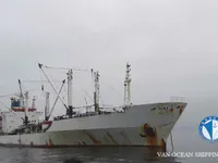 Koelschip te koop