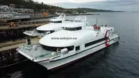 Catamaran Te koop