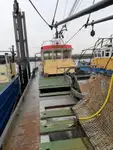 Trawler te koop