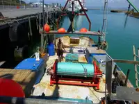 Trawler Te koop