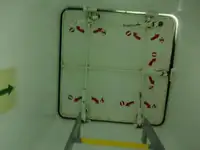 Bulkcarrier te koop