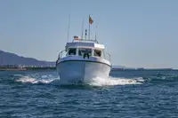 Veerboot te koop
