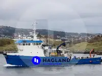 Duikondersteuning Te koop