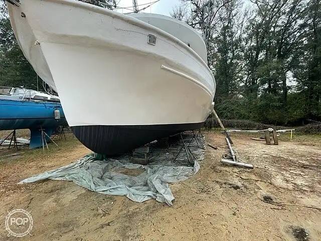 Trawler te koop