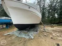 Trawler te koop