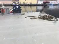 Ponton te koop