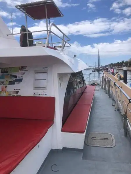 Catamaran te koop