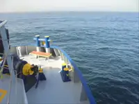 Koelschip te koop