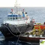 Sleepboot Te koop