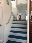 Catamaran te koop