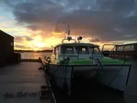 Catamaran te koop