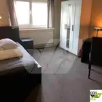 Accommodatieponton te koop
