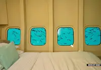 Catamaran te koop