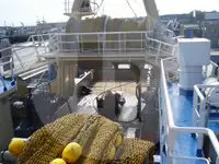 Levend vis transport schip te koop
