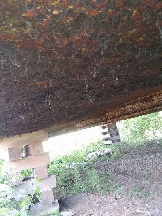 Barge te koop