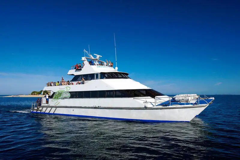 Catamaran te koop