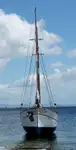 Veerboot te koop