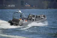 Stijve rubberboot te koop