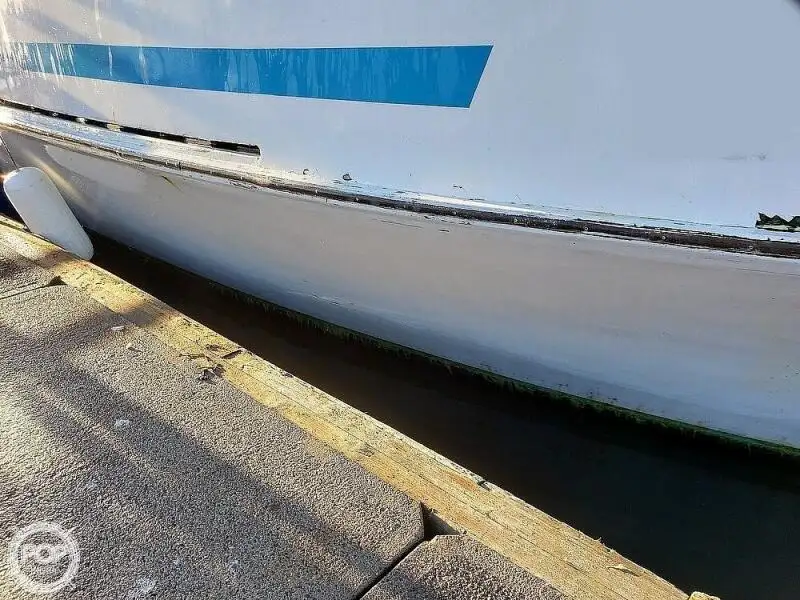Veerboot te koop