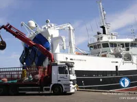 Trawler te koop